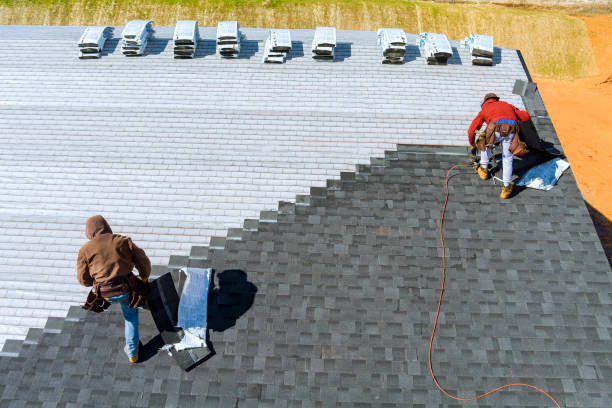 Best Roof Gutter Cleaning  in Sonterra, TX